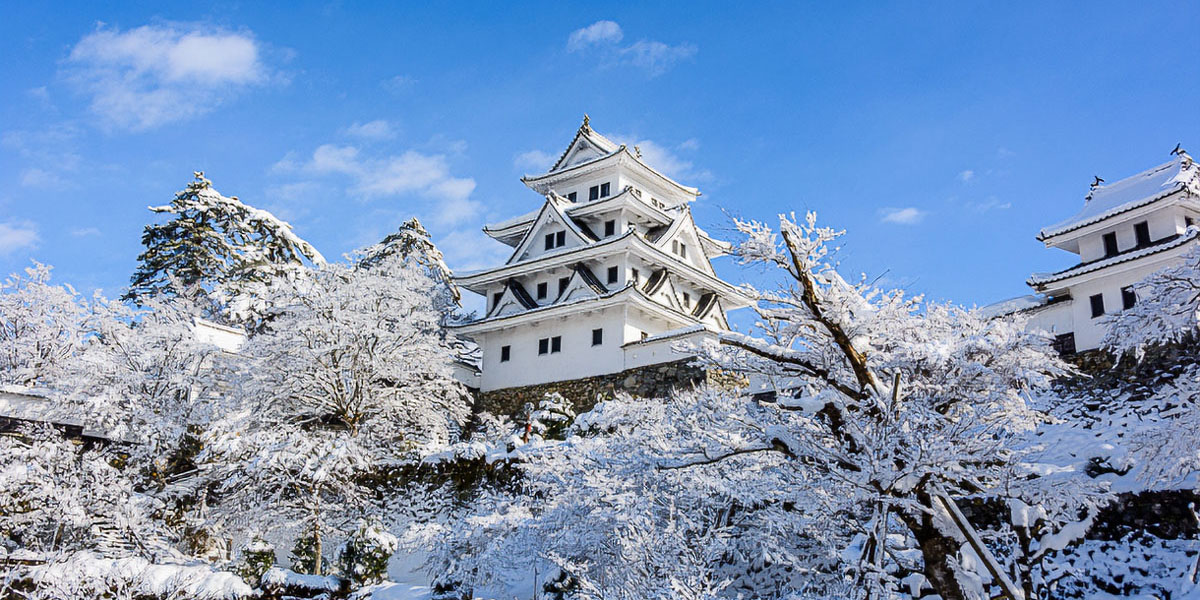 雪の郡上八幡城